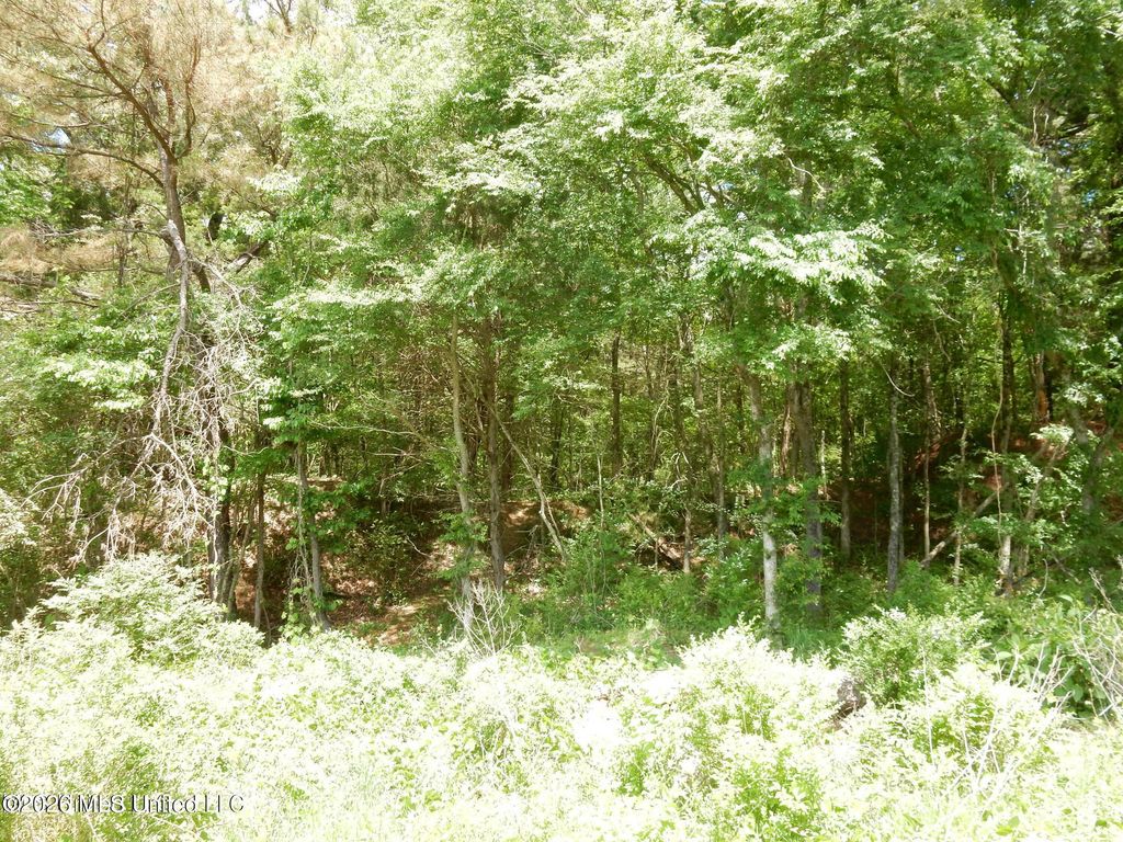 3 Looxahoma-tyro Road, Senatobia, MS 38668 — exterior