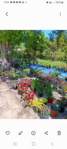 247 Horseshoe Trail, Barnwell, SC 29812