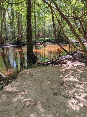 247 Horseshoe Trail, Barnwell, SC 29812