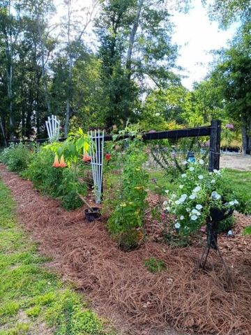 247 Horseshoe Trail, Barnwell, SC 29812