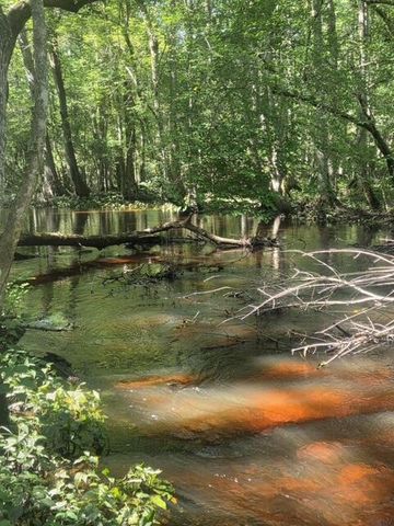 247 Horseshoe Trail, Barnwell, SC 29812