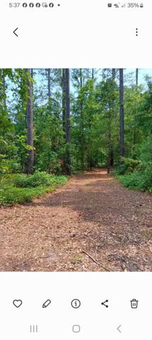 247 Horseshoe Trail, Barnwell, SC 29812