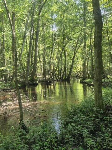 247 Horseshoe Trail, Barnwell, SC 29812