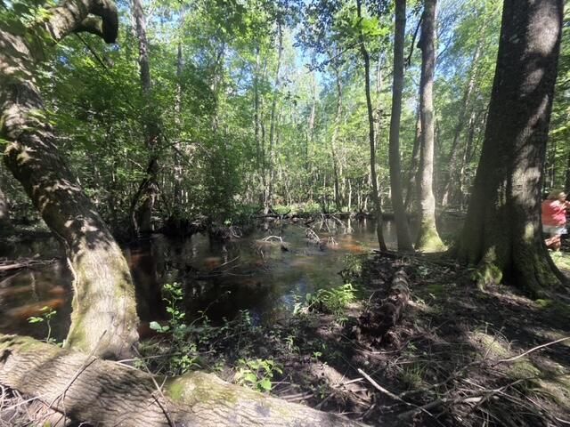 247 Horseshoe Trail, Barnwell, SC 29812