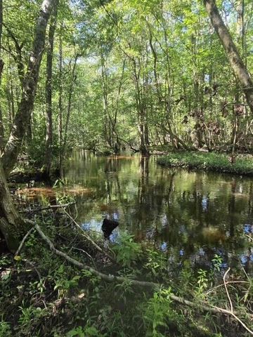 247 Horseshoe Trail, Barnwell, SC 29812