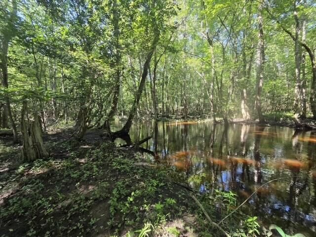 247 Horseshoe Trail, Barnwell, SC 29812