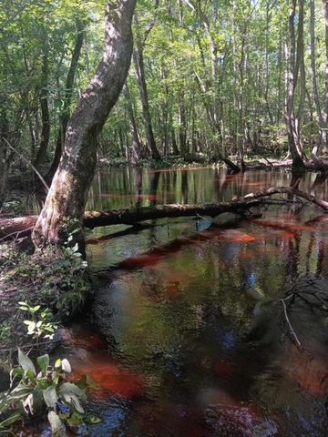 247 Horseshoe Trail, Barnwell, SC 29812