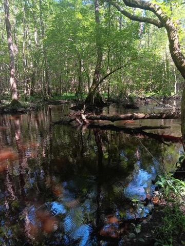 247 Horseshoe Trail, Barnwell, SC 29812