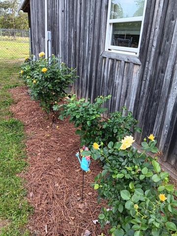 247 Horseshoe Trail, Barnwell, SC 29812