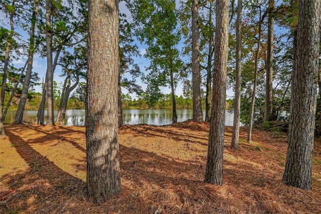 34 Wood Drake Pl, Tomball, TX 77375