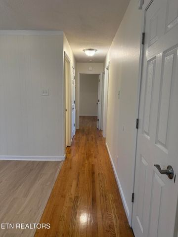 11801 Byron Lane, Knoxville, TN 37934