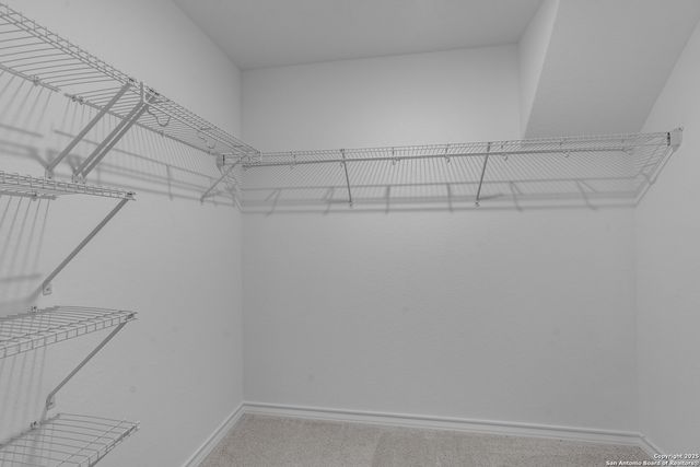 12003 Mutton Busting Drive, San Antonio, TX 78254