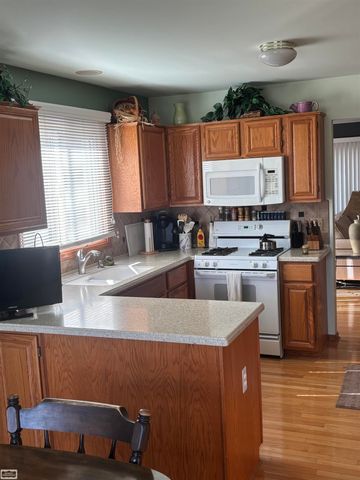 16371 Paint Creek Circle, Macomb, MI 48042