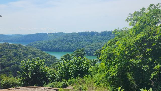0 Shayna Ct, Smithville, TN 37166