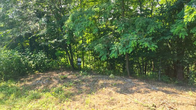 0 Shayna Ct, Smithville, TN 37166