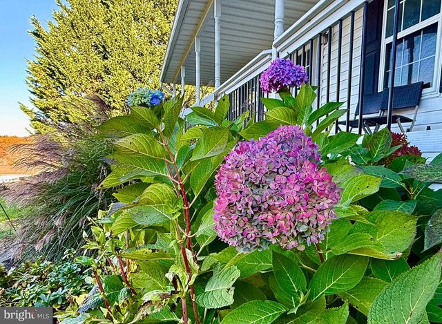 67 REYNOLDS CT, Front Royal, VA 22630