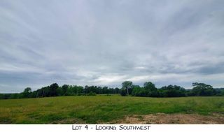 Lot 4 Pleasant View Rd, Brighton, MO 65617