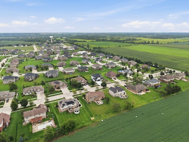 23039 Lakeview Estates Boulevard, Frankfort, IL 60423