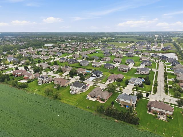 23039 Lakeview Estates Boulevard, Frankfort, IL 60423