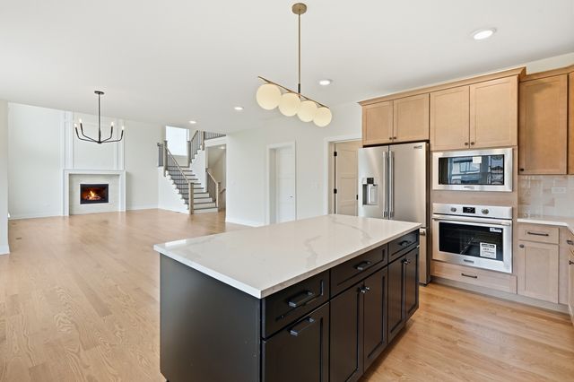 23039 Lakeview Estates Boulevard, Frankfort, IL 60423