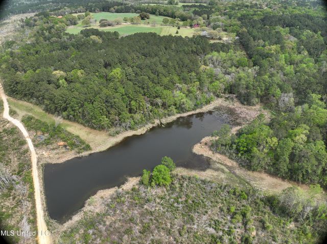 Highway 53, Perkinston, MS 39573