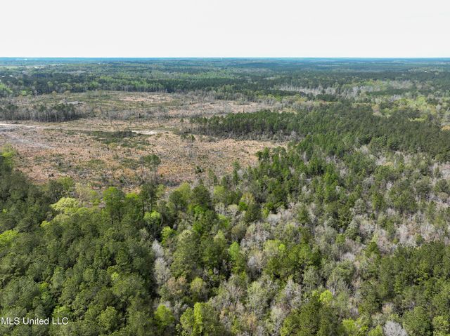 Highway 53, Perkinston, MS 39573