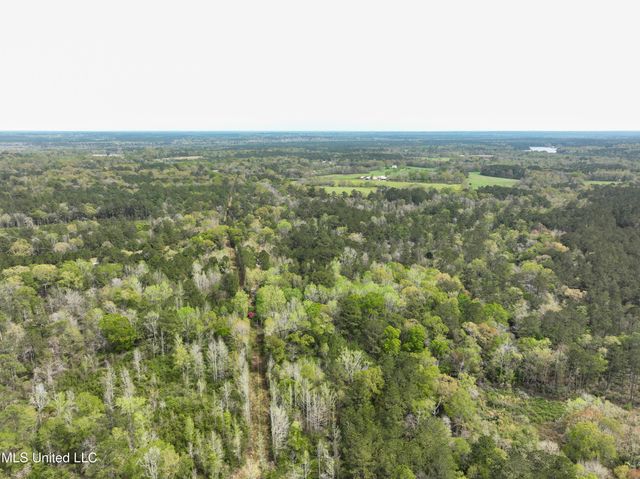 Highway 53, Perkinston, MS 39573