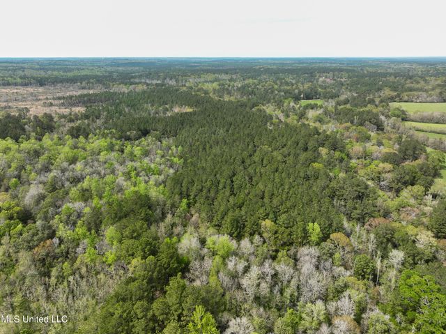 Highway 53, Perkinston, MS 39573