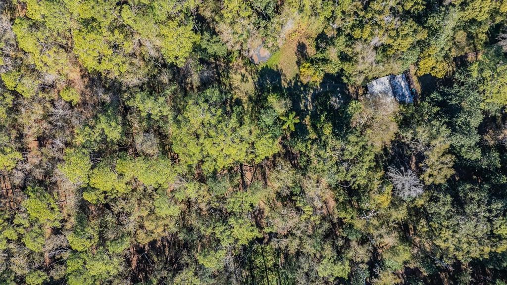 Image 11 of property listing at 5504 SUN UP ROAD, Land O Lakes, FL 34638