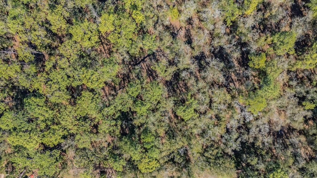 Image 10 of property listing at 5504 SUN UP ROAD, Land O Lakes, FL 34638