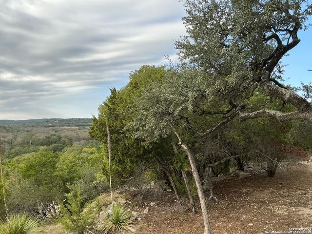 1524 freshwater, Bulverde, TX 78163