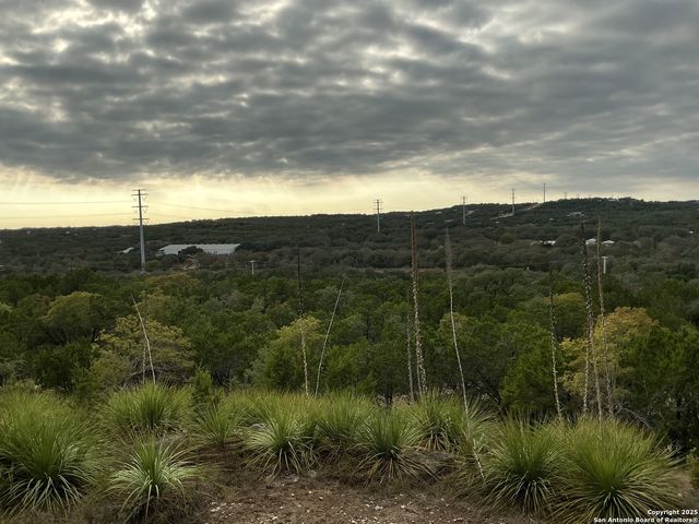 1524 freshwater, Bulverde, TX 78163