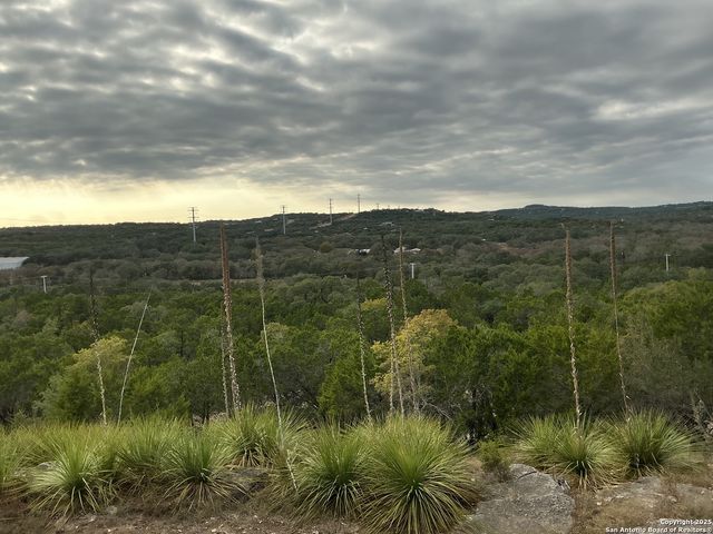 1524 freshwater, Bulverde, TX 78163