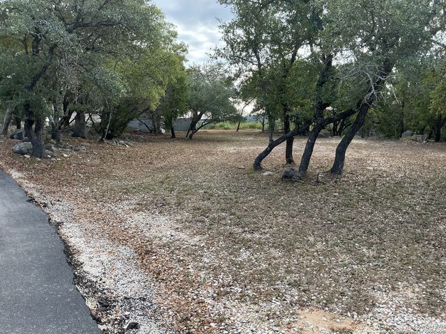 1524 freshwater, Bulverde, TX 78163