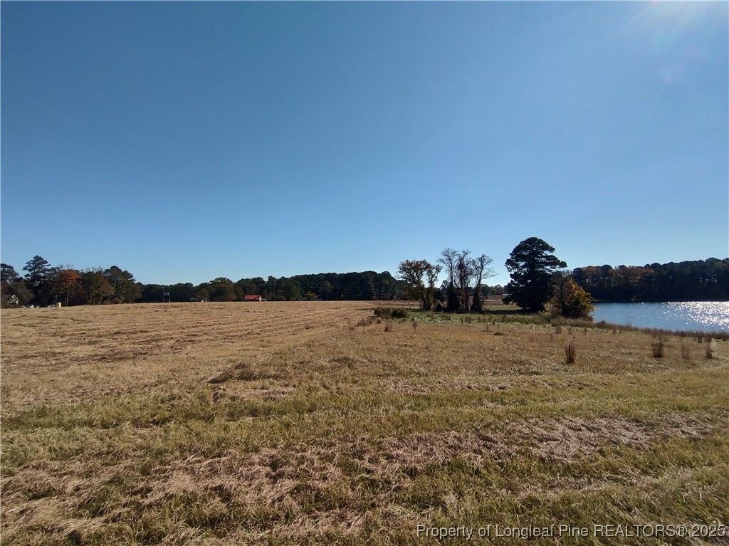 0 Castleberry Road, Sanford, NC 27332 — photo 2