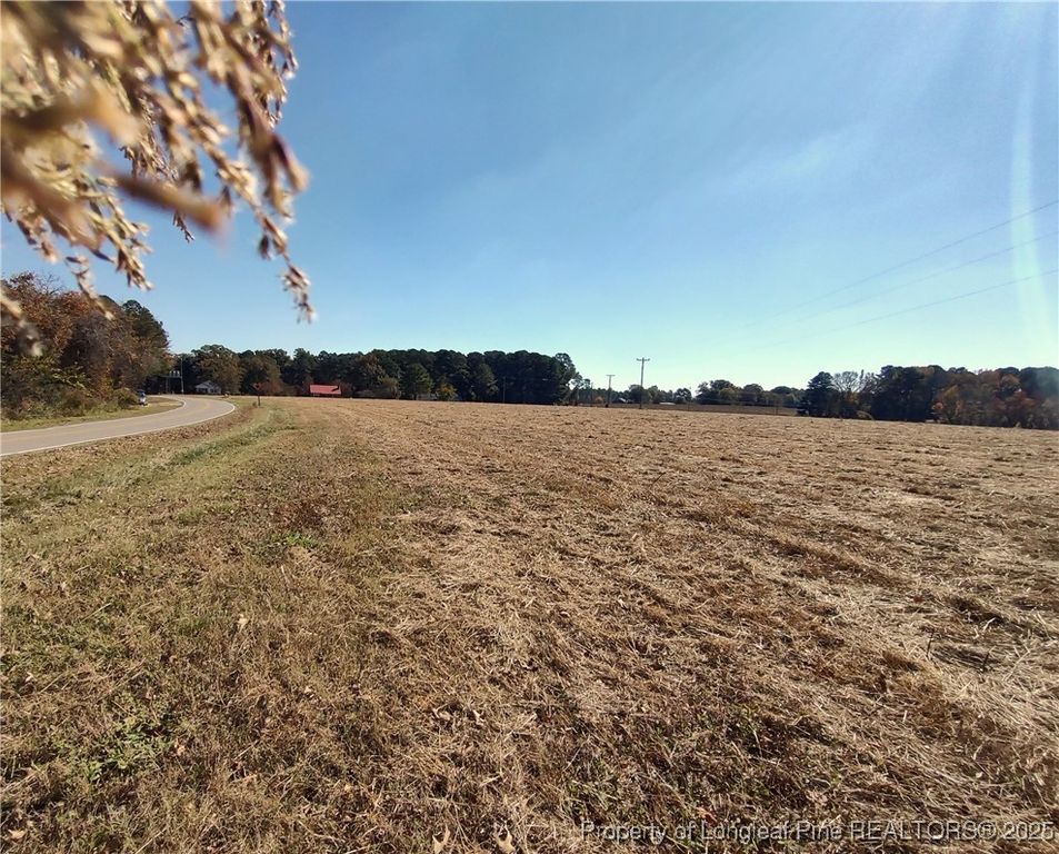 0 Castleberry Road, Sanford, NC 27332 — photo 4