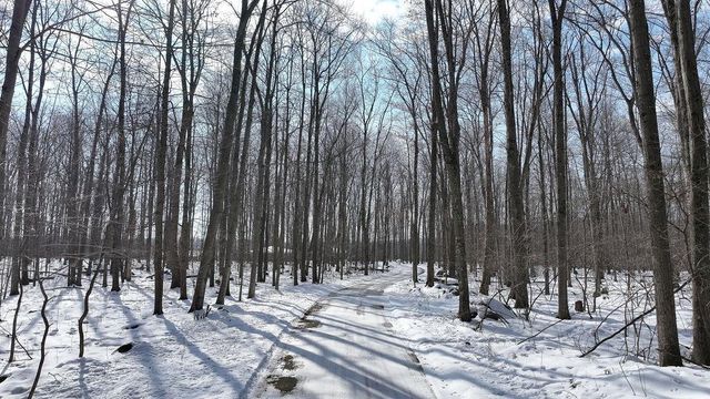 E1517 JOHNSON ROAD, Iola, WI 54945