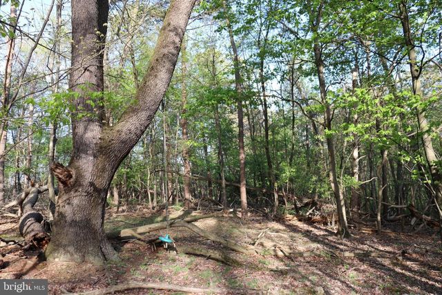 620 STONEBRIDGE DR, Selinsgrove, PA 17870