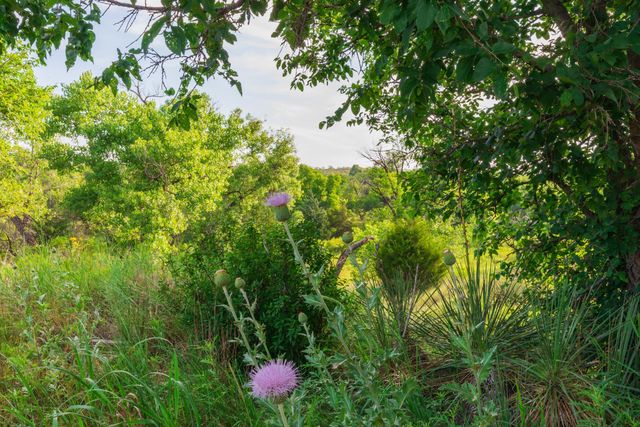 258 Carroll Creek, Howardwick, TX 79226