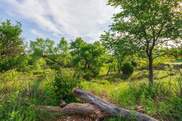 258 Carroll Creek, Howardwick, TX 79226