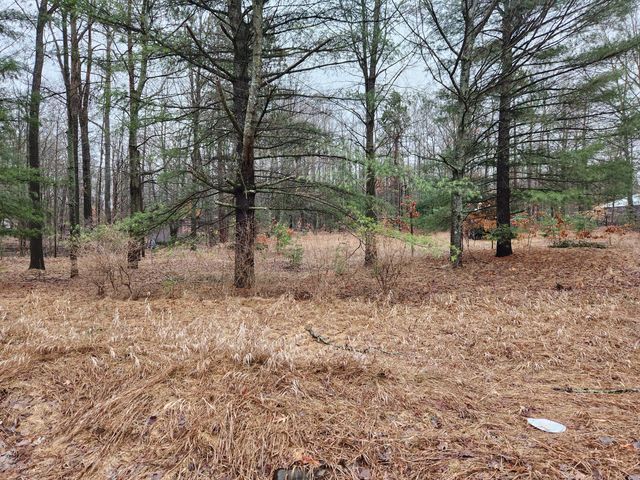 8033 Rolling Drive, Lake, MI 48632
