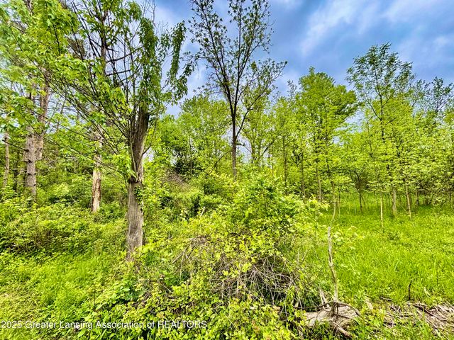 0 Lot B Willow, Lansing, MI 48917