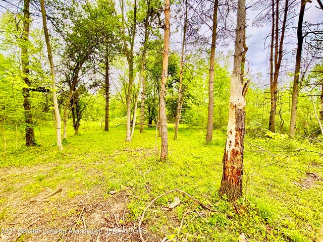 0 Lot B Willow, Lansing, MI 48917