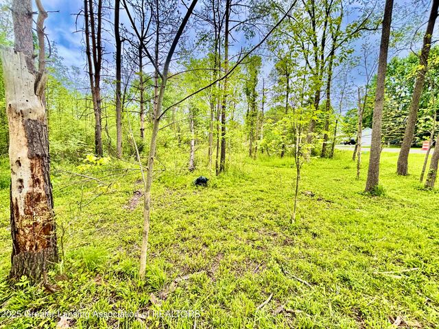 0 Lot B Willow, Lansing, MI 48917