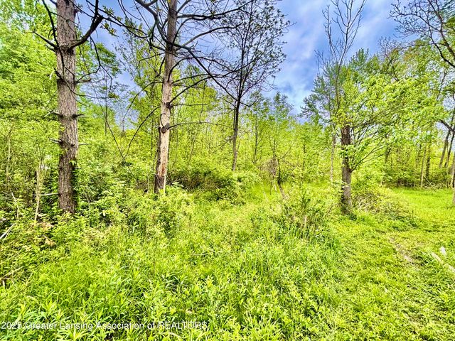 0 Lot B Willow, Lansing, MI 48917