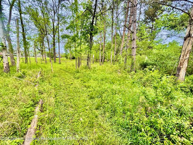 0 Lot B Willow, Lansing, MI 48917