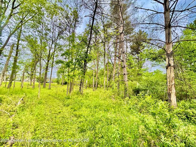 0 Lot B Willow, Lansing, MI 48917