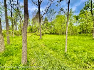 0 Lot B Willow, Lansing, MI 48917