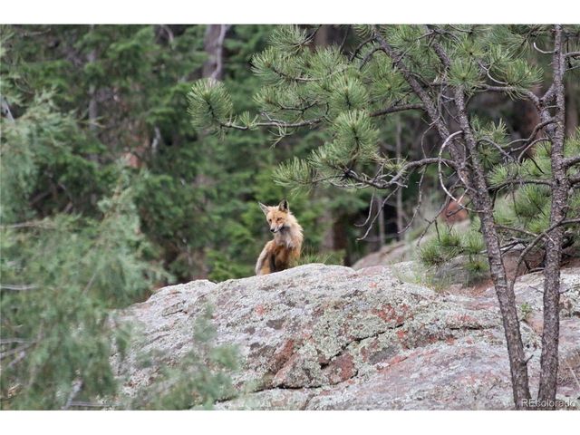 89 Ranch View, Florissant, CO 80816