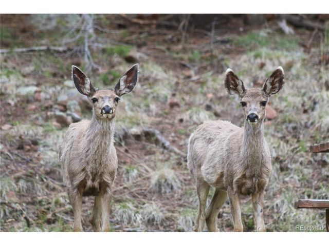 89 Ranch View, Florissant, CO 80816